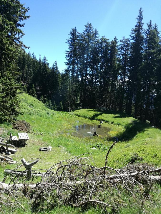 Appartamento Bichlerhof Hopfgarten in Defereggen Esterno foto