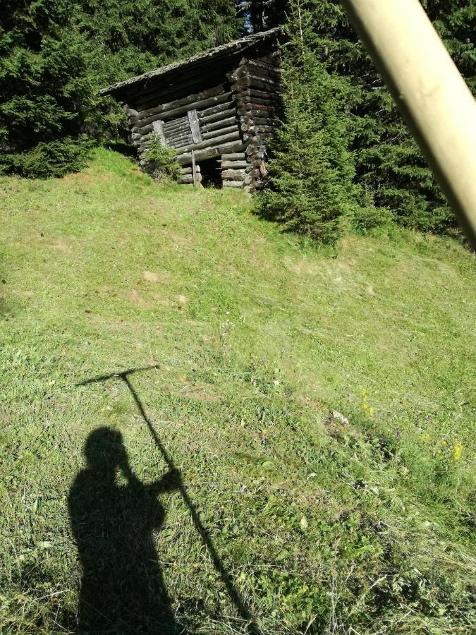 Appartamento Bichlerhof Hopfgarten in Defereggen Esterno foto